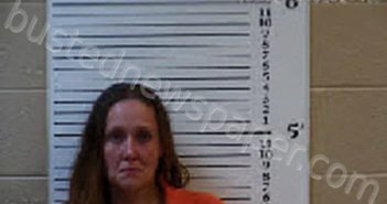 WALKER, KELLY DENISE | 2024-06-04 13:11:00 Cherokee County, North Carolina Booking