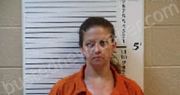 DOCKERY, SHEENA RENEE | 2024-06-04 17:05:00 Cherokee County, North Carolina Booking