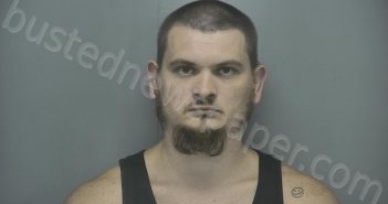 STORY, BRANDON MICHAEL LEE | 2024-06-04 22:09:05 Vigo County, Indiana Booking