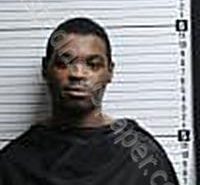 <B>BALDWIN</B>, <B>CLARENCE</B> <B>ERVIN</B> III #, Brunswick County, North Carolina - 2024-06-04