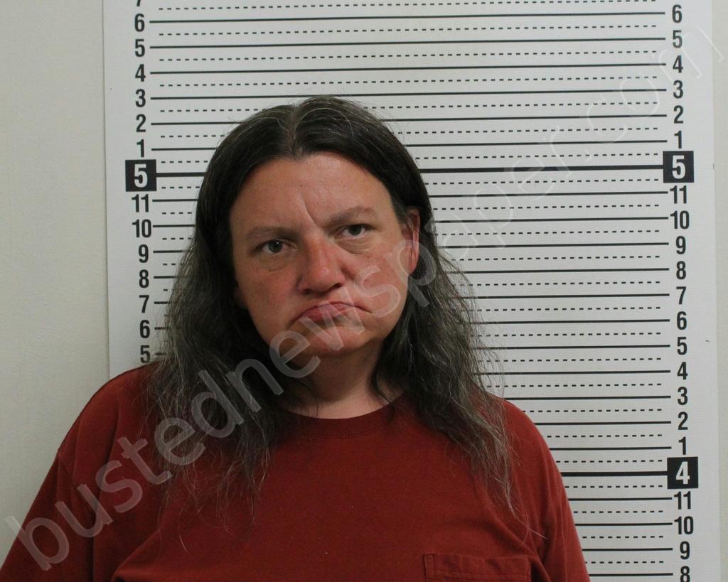 HUTCHISON, TANIA LEI #, Ross County, Ohio - 2024-06-04 01:07:00