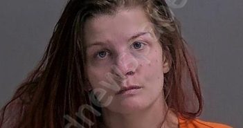 PICKERING, SAMANTHA M | 2024-06-05 Sandusky County, Ohio Booking