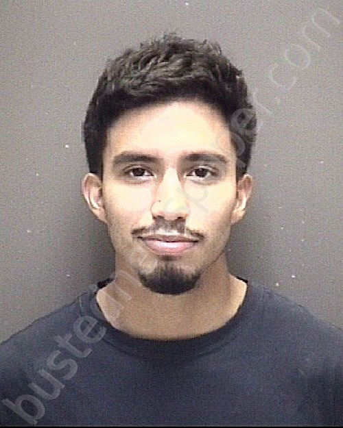 RODRIGUEZ, MICHAEL DANIEL #, Galveston County, Texas - 2024-06-05 01:00:00