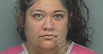 HAND, EMILY FAYE | 2024-06-05 09:52:00 Montgomery County, Texas Booking