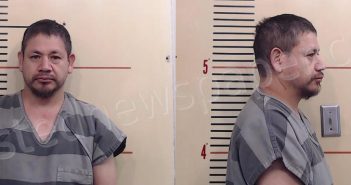 GONZALES, ELENO VILLALON | 2024-06-06 Parker County, Texas Booking