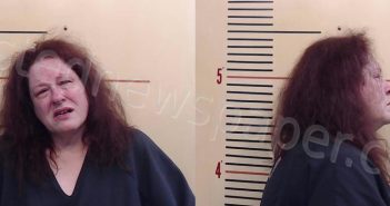 ROBINSON, THERESA CASEBOLT | 2024-06-06 Parker County, Texas Booking