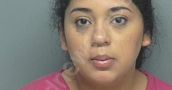 VILLEGAS, ADAMARIS | 2024-06-07 05:51:00 Montgomery County, Texas Booking