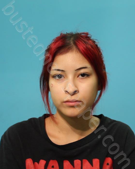 RODRIGUEZ, LORRAINA ANGEL #, Brazoria County, Texas - 2024-06-07