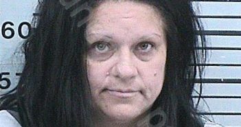ALVARADO, TRACY ANN | 2024-06-07 02:54:13 Hood County, Texas Booking