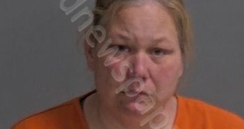 SHETZER, JOKODA L | 2024-06-07 Sandusky County, Ohio Booking