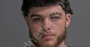 CASTILLO, ZAVIER C | 2024-06-08 Sandusky County, Ohio Booking