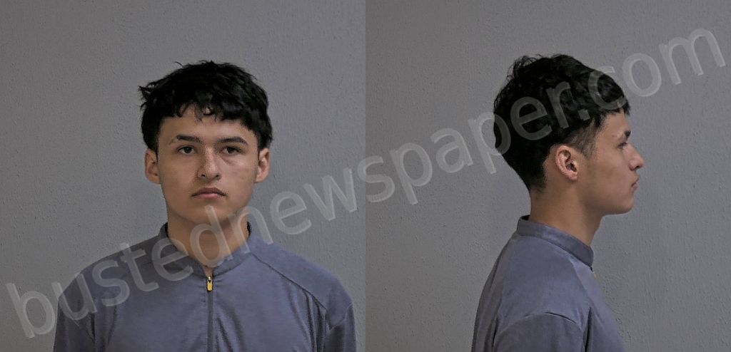 ZAVALA, ANGEL DALESSANDRO #, Hidalgo County, Texas - 2024-06-08