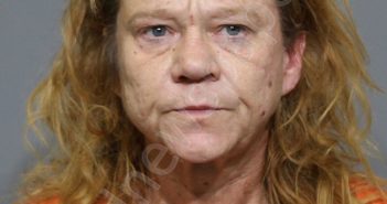 MATTISON, CAMILLE ELIZABETH | 2024-06-08 01:13:41 York County, South Carolina Booking