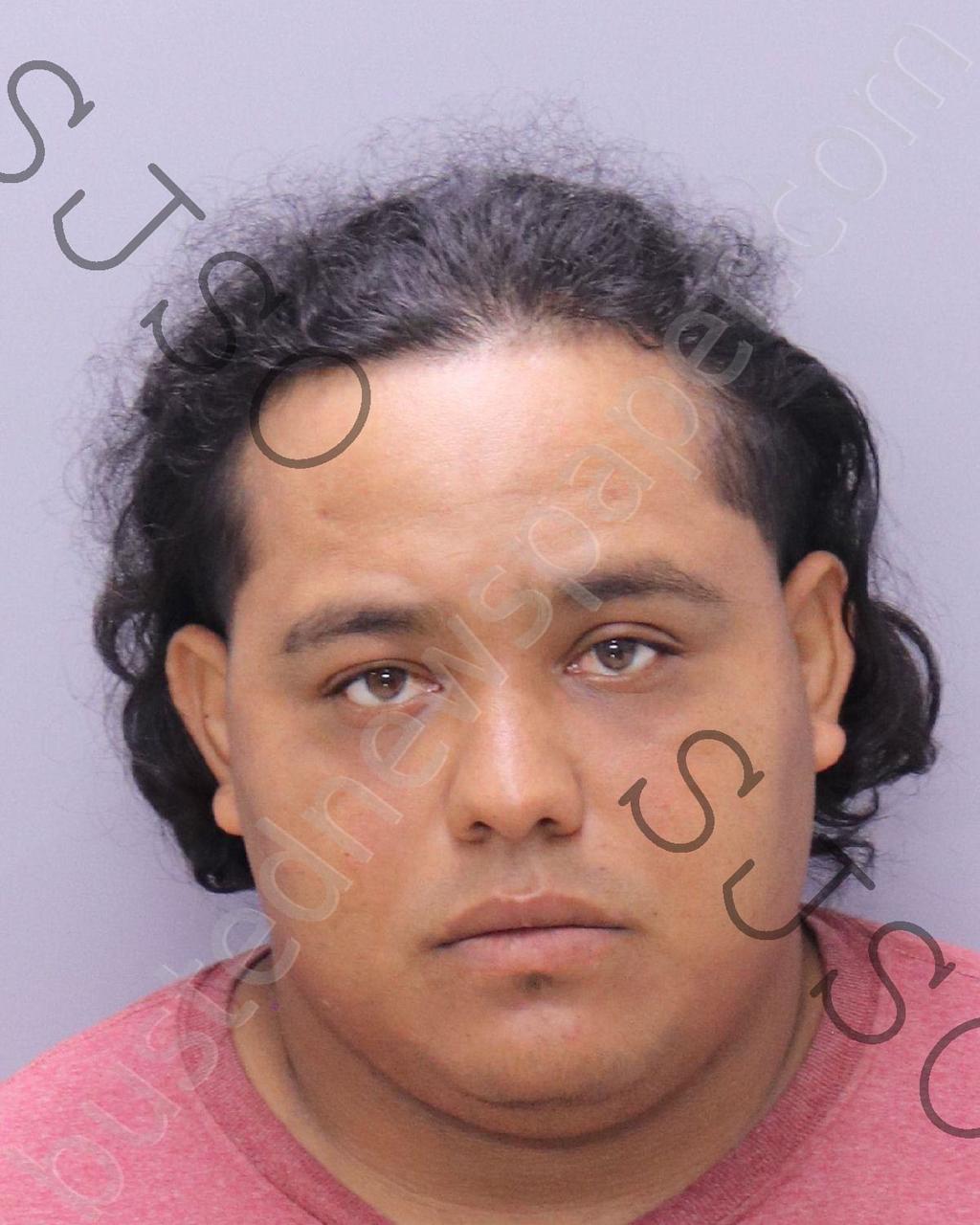 ACOSTA MENCIAS, NALBIS JAVIER #, St. Johns County, Florida - 2024-06-08 19:49:00