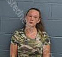 <B>BRODOWSKY</B>, <B>COURTNEY</B> NICOLE #, Pender County, North Carolina - 2024-06-08