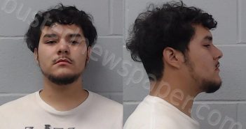 <B>RUIZ</B>, <B>CHRISTIAN</B> REFUGIO #, Hays County, Texas - 2024-06-11