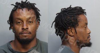 SMITH, ANTOINE ROSS | 2024-06-11 19:41:00 Miami-Dade County, Florida Booking