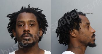 JOHNSON, CHARLES LOUIS | 2024-06-11 21:08:00 Miami-Dade County, Florida Booking