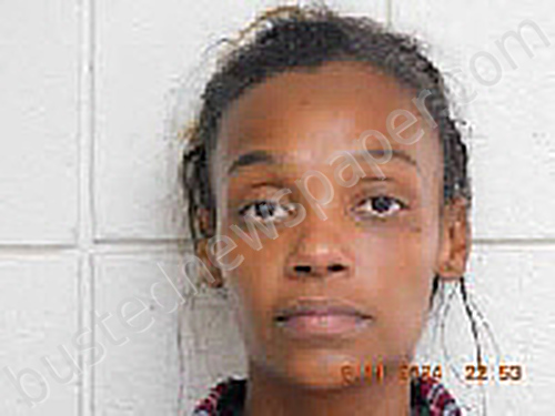CONCHITA MARIA GOINS #, Duplin County, North Carolina - 2024-06-11 22:39:00