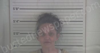 WEHRLE, GILLIAN LYNN | 2024-06-11 08:19:00 Campbell County, Kentucky Booking