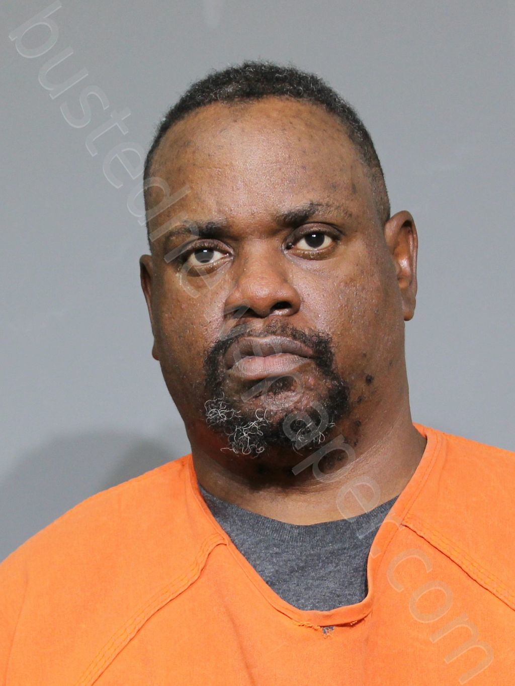 MINTON, SANCHEZ ODELL #, York County, South Carolina - 2024-06-11 23:35:23
