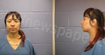 RASCON, SYLVIA | 2024-06-12 Andrews County, Texas Booking