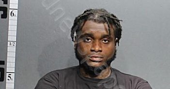 HARRIS, SEAN | 2024-06-12 05:20:00 Western Tidewater, Virginia Booking