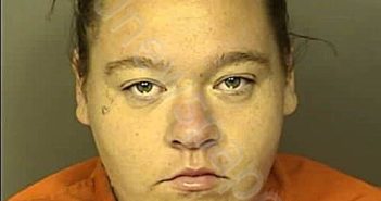 <B>MAPLES</B>, <B>MERANDA</B> <B>GRAY</B> #, Horry County, South Carolina - 2024-06-12 22:01:00