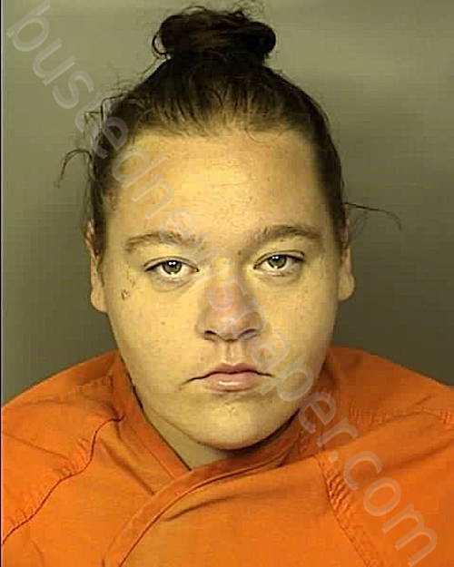 MAPLES, MERANDA GRAY #, Horry County, South Carolina - 2024-06-12 22:01:00