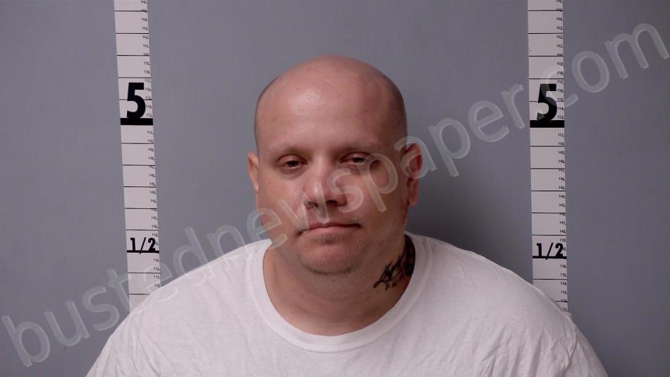 ANTHONY, MICHAEL RYAN #, Gratiot County, Michigan - 2024-06-13 22:54:00