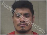 ROSARIO, ROMEO | 2024-06-13 Harnett County, North Carolina Booking