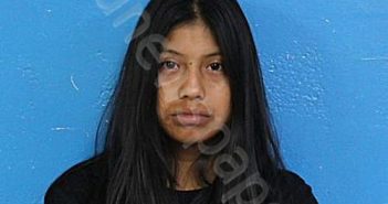 RAMIREZ, ROBELINDA | 2024-06-13 13:07:00 Sullivan County, Tennessee Booking