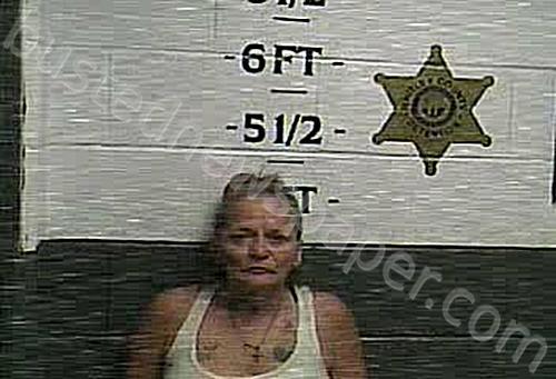 MULLINS, TINA #, Whitley County, Kentucky - 2024-06-13 13:00:00