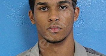 TURNER, EITHAN MICHAEL FOSTER | 2024-06-13 16:59:00 Sullivan County, Tennessee Booking