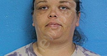 HATLEY, HEATHER NICOLE | 2024-06-13 10:09:00 Sullivan County, Tennessee Booking