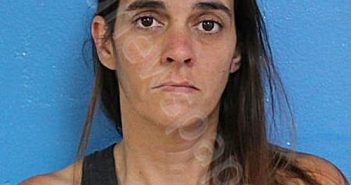 SMITH, BRANDY NICOLE | 2024-06-13 11:22:00 Sullivan County, Tennessee Booking