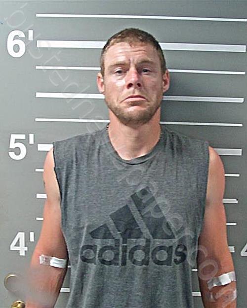 WILSON, HENRY DANIEL #, Montgomery County, Illinois - 2024-06-13 12:09:15