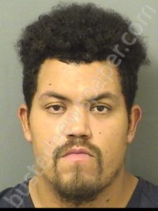 PEREZ, HECTOR SAMUEL JR | 2024-06-14 11:43:00 Palm Beach County, Florida Booking