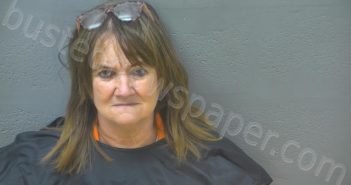 HARLESS, ANGELA MICHELE | 2024-06-14 09:00:00 Lynchburg, Virginia Booking