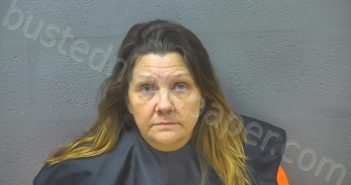 JOHNSON, CAROL BOWYER | 2024-06-15 06:20:00 Lynchburg, Virginia Booking
