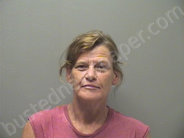 DRY,RHONDA ANN #, Garland County, Arkansas - 2024-06-15 06:46:00