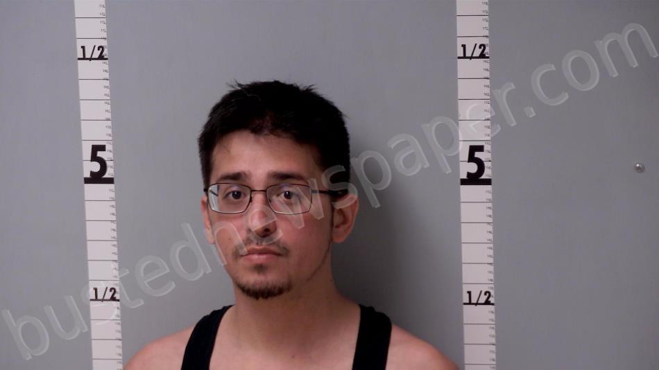 MARTIN, JOSEPH ADAM #, Gratiot County, Michigan - 2024-06-16 02:12:00
