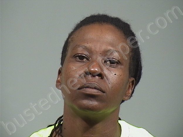 JOHNSON, LYDIA MARIE #, Trumbull County, Ohio - 2024-06-17