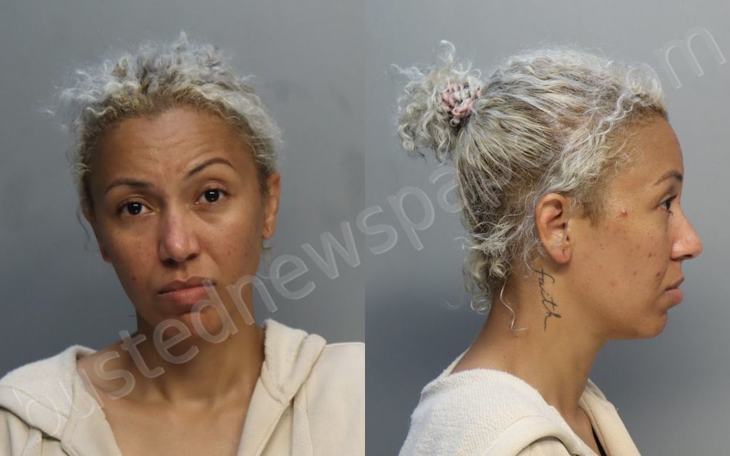 HERNANDEZ, ZAIMARA #, Miami-Dade County, Florida - 2024-06-17 19:49:00