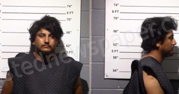 PACHECO, ROBERTO CARLOS VARGAS | 2024-06-17 Gillespie County, Texas Booking