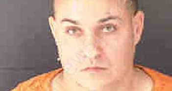 <B>VILLANUEVA</B>, <B>MICHAEL</B> LUIS #, Sarasota County, Florida - 2024-06-17