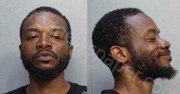 MCCLOUD, JAMAL | 2024-06-17 20:14:00 Miami-Dade County, Florida Booking