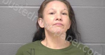 DISERA, ANGELA M | 2024-06-18 15:52:00 Will County, Illinois Booking