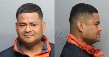 REYES, BRYAN FABRICIO | 2024-06-18 09:39:00 Miami-Dade County, Florida Booking