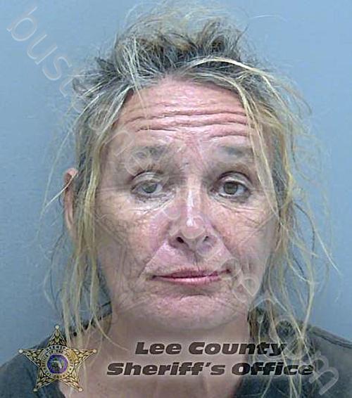 LACHAPELLE, ROBIN ANN #, Lee County, Florida - 2024-06-18 16:59:00